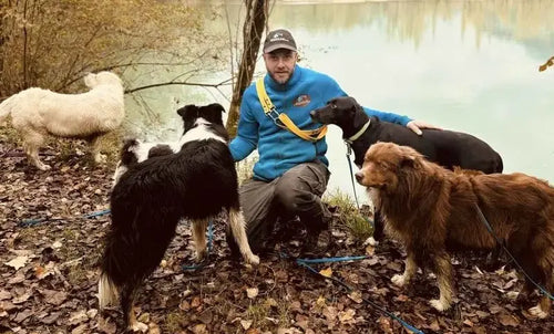 Dog_walker_promeneur_chien_voreppe_st_egreve_sassenage