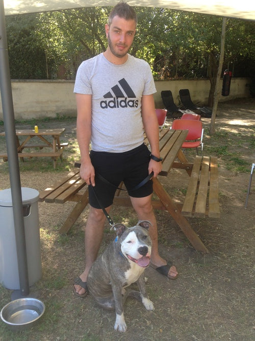 Education canine grenoble