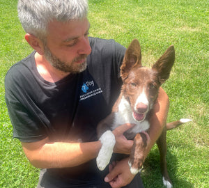 cours education canine pour chiot a Grenoble TDOG