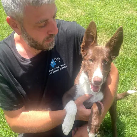 Éducation canine Échirolles – exercices en extérieur avec un éducateur canin diplômé