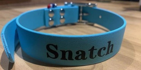 Médaille ou Collier gravé pour chien