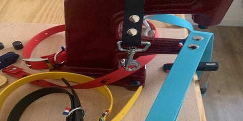 Pourquoi utiliser du Biothane le collier de mon chien ?