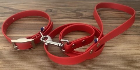 avis collier et laisse en biothane