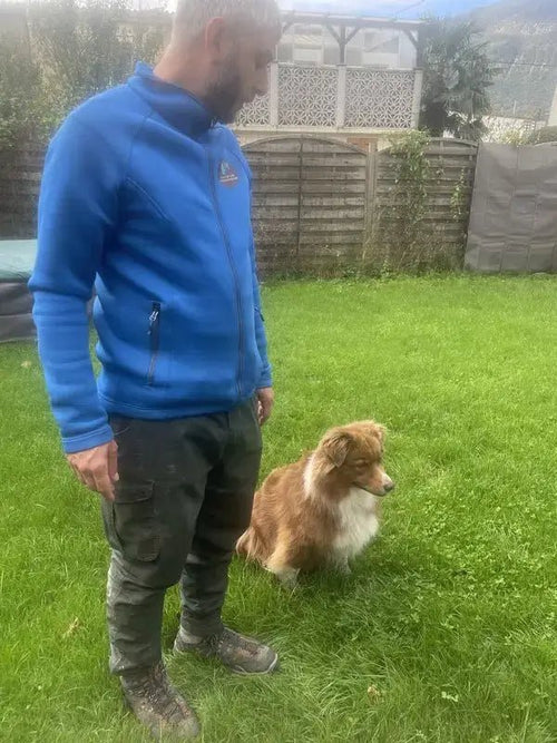 Quelle est la différence entre un éducateur canin et un comportementaliste canin ?