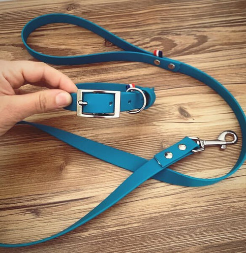 biothane matiere parfaite collier chien