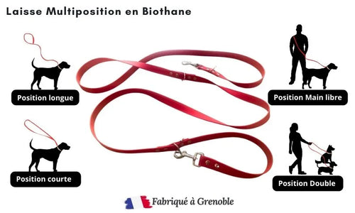 Laisse-chien-multiposition-main-libre-biothane