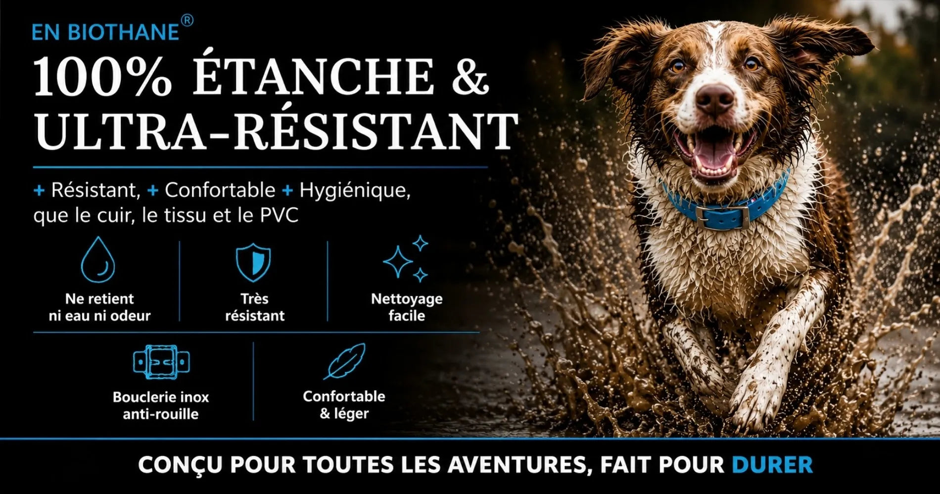 collier en biothane personnalise poour chien tdog
