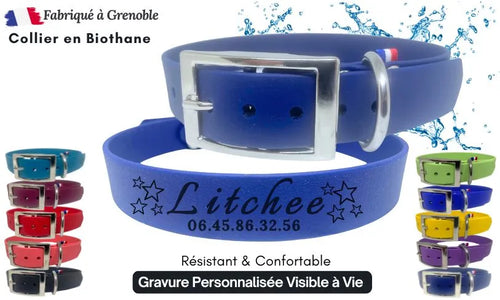 collier-chien-bleu-navy-personnalise