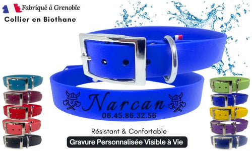 collier-chien-grave-numero-nom-biothane-bleu-roi
