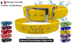collier-chien-personnalisation-biothane-jaune