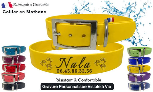 collier-chien-personnalisation-biothane-jaune