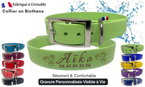collier-chien-personnalise-avec-numero-et-nom-vert