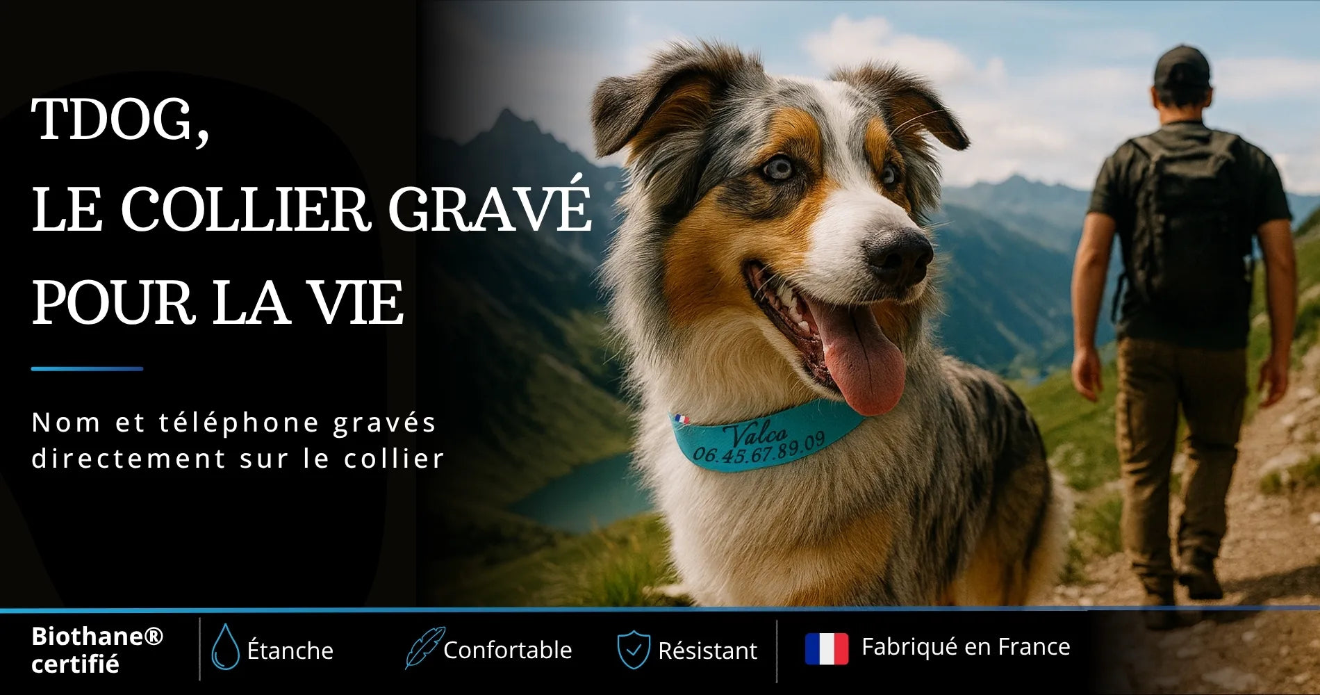 Collier chien personnalisé gravé au laser en Biothane étanche avec nom et numéro de téléphone