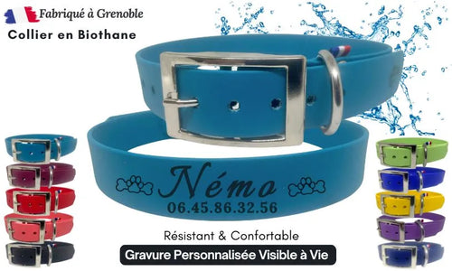 collier-chienpersonnalisation-nom-numero-grave-bleu-turquoise