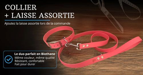 collier et laisse assortie en biothane ensemble pour chien personnalisé