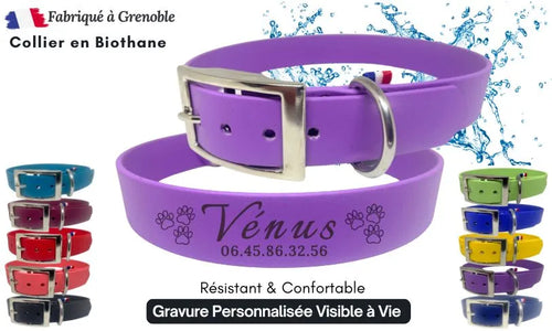 collier-personnalisé-violet-biothane-chien