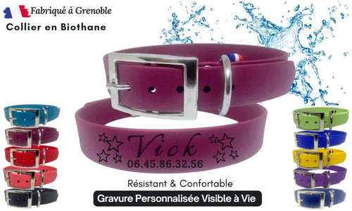 collier-personnalise-pour-chien-nom-numero-bordeaux