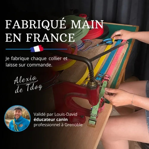 Collier chien personnalisé fabriqué 
à la main en France dans notre atelier