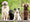 promeneur de chien st egreve 38120