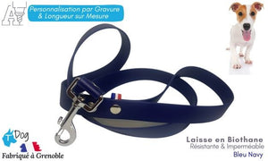 laisse chien biothane bleu navy
