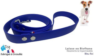 laisse_chien_biothane_bleu_roi
