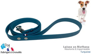laisse_chien_biothane_bleu_turquoise