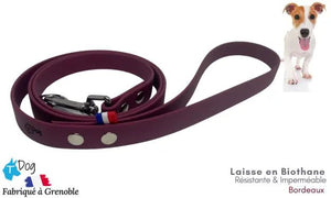laisse_chien_biothane_bordeaux