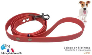 laisse_chien_biothane_corail