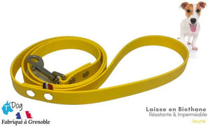 laisse_chien_biothane_jaune