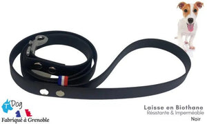 laisse_chien_biothane_noire