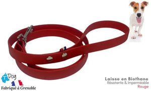 laisse_chien_biothane_rouge