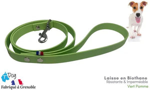 laisse_chien_biothane_vert_pomme
