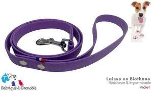 laisse_chien_biothane_violet