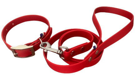 collier et laisse en biothane rouge