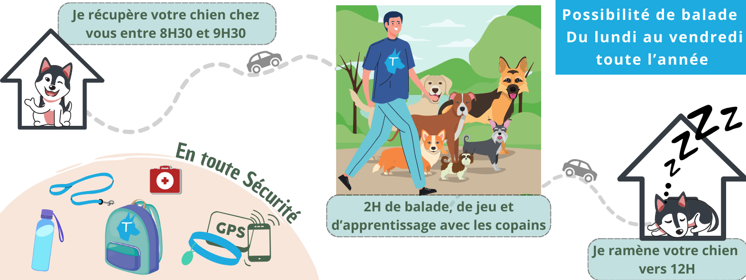 Promeneur chien Grenoble