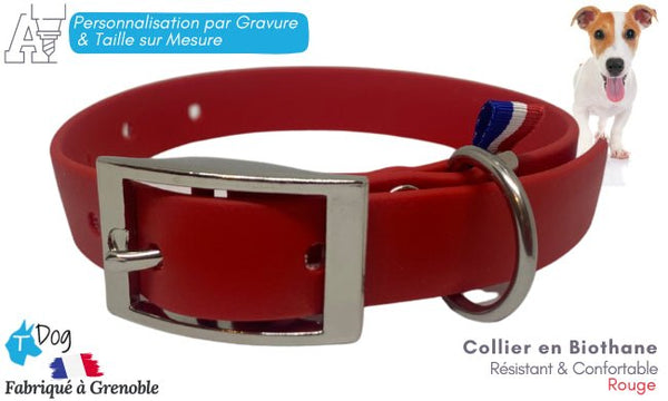 Collier chien biothane personnalisé rouge tdog